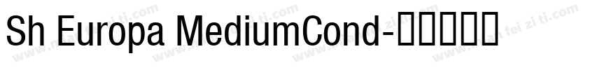 Sh Europa MediumCond字体转换